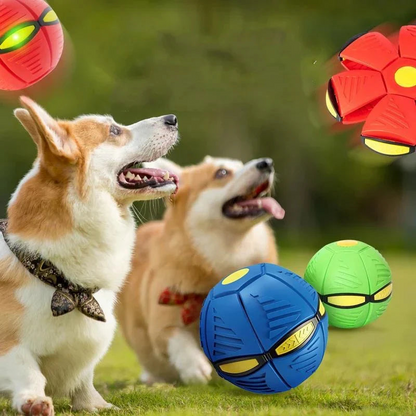 Combo mascota cobertor de asientos y pelota mágica